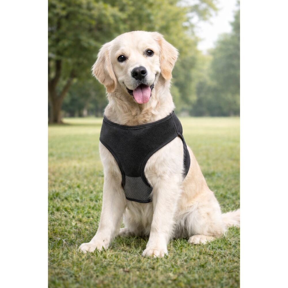 2 in 1 Retractable Leash and Harness for Dogs - L/XL - Magnetic - 36 - 80 pounds